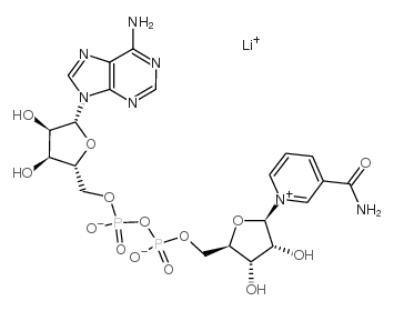 NAD+ lithium Structure