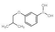 3-ISOBUTOXYPHENYLBORONIC ACID Structure