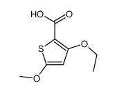 2-Thiophenecarboxylicacid,3-ethoxy-5-methoxy-(9CI) picture