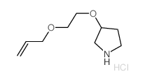 3-[2-(Allyloxy)ethoxy]pyrrolidine hydrochloride结构式