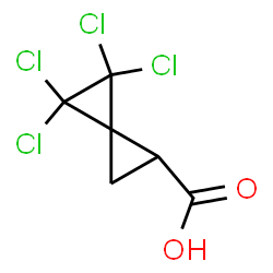 4,4,5,5-四氯螺[2.2]戊烷-1-羧酸结构式