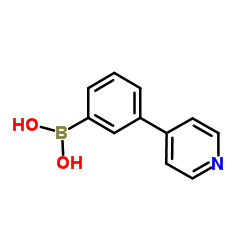 3-(pyridin-4-yl)phenylboronic acid Structure