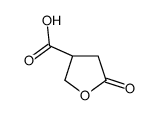 (3S)-5-oxooxolane-3-carboxylic acid Structure