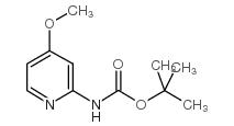 (4-METHOXY-PYRIDIN-2-YL)-CARBAMIC ACID TERT-BUTYL ESTER picture