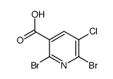 55304-86-4 structure