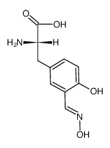 3-<3(E)-hydroxyiminomethyl-4-hydroxyphenyl>-L-alanine Structure