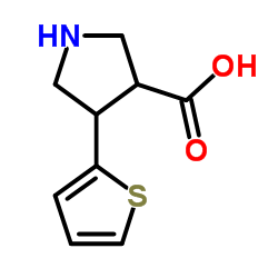 (TRANS)-4-(2-THIENYL)-PYRROLIDINE-3-CARBOXYLIC ACID-HCL Structure