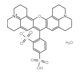 硫代罗丹明101水合物结构式