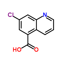 7-chloroquinoline-5-carboxylic acid picture