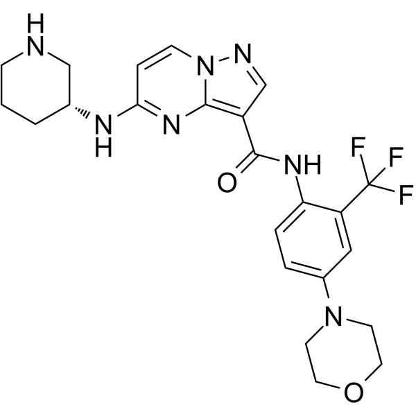 2489446-59-3结构式