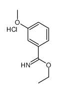 ethyl 3-methoxybenzenecarboximidate,hydrochloride结构式