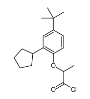 2-[2-cyclopentyl-4-(1,1-dimethylethyl)phenoxy]propionyl chloride结构式