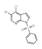 1H-Pyrrolo[2,3-b]pyridine, 5-bromo-4-chloro-1-(phenylsulfonyl)- Structure