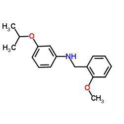 1040684-18-1 structure