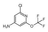 2-Chloro-6-(trifluoromethoxy)pyridin-4-amine结构式