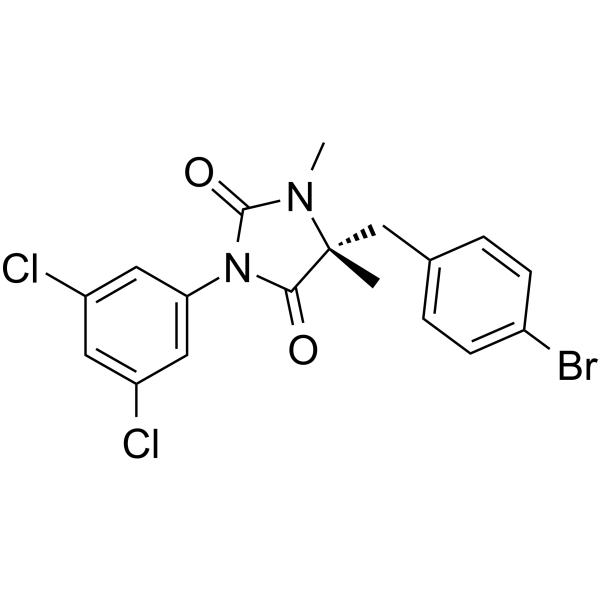 BIRT 377 Structure