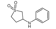 N-(1,1-DIOXIDOTETRAHYDROTHIEN-3-YL)-N-PHENYLAMINE structure