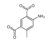 5-Methyl-2,4-dinitrobenzenamine结构式