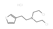 3-Thiopheneethanamine,N,N-bis(2-chloroethyl)-, hydrochloride (1:1)结构式