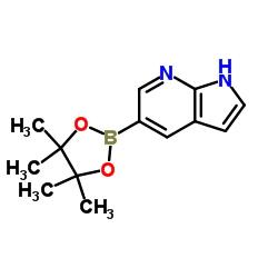 7-氮杂吲哚-5-硼酸频哪醇酯图片