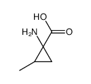 1-amino-2-methylcyclopropane-1-carboxylic acid Structure