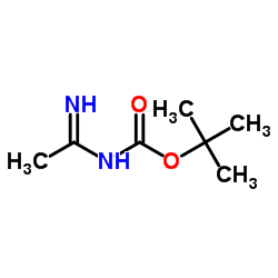 Carbamic acid, (1-iminoethyl)-, 1,1-dimethylethyl ester (9CI) picture