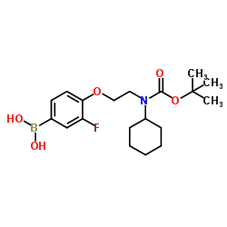 (4-(2-((tert-butoxycarbonyl)(cyclohexyl)amino)ethoxy)-3-fluorophenyl)boronic acid Structure