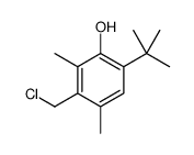 6-tert-butyl-3-(chloromethyl)-2,4-dimethylphenol Structure