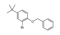 1-Benzyloxy-2-bromo-4-t-butylbenzene Structure