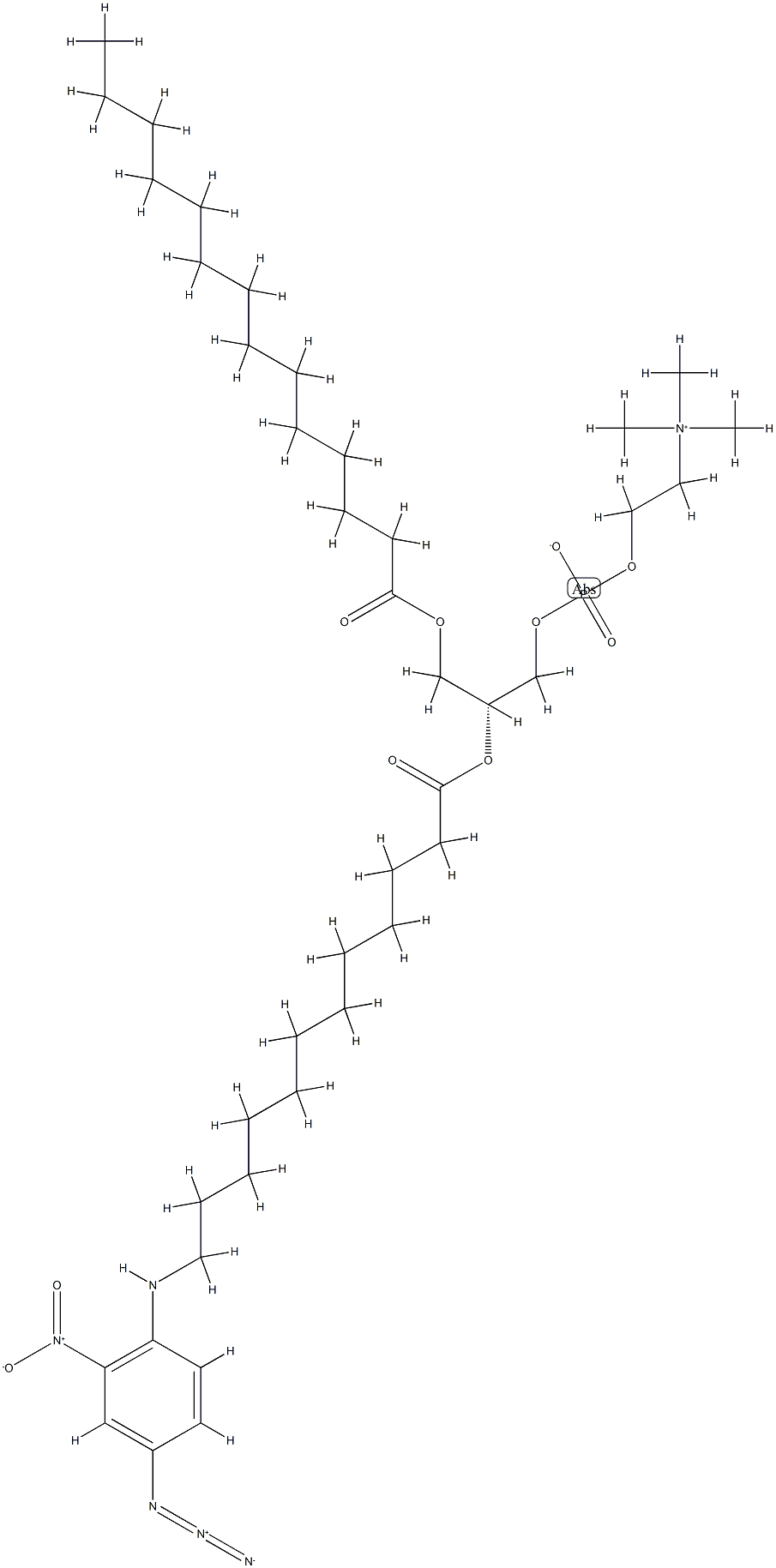 1-myristoyl-2-(12-N-(4-azido-2-nitrophenyl)aminododecanoyl)phosphatidylcholine picture