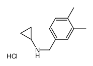 N-Cyclopropyl-3,4-dimethylbenzylamine hydrochloride, 4-(Cyclopropylamino)-o-xylene hydrochloride picture