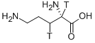 L-ORNITHINE-[2,3-3H] picture