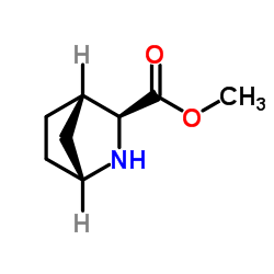 Methyl (1R,3S,4S)-2-azabicyclo[2.2.1]heptane-3-carboxylate structure