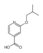 2-isobutoxy-isonicotinic acid结构式