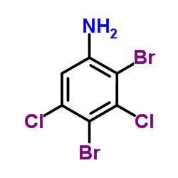 2,4-Dibromo-3,5-dichloroaniline结构式