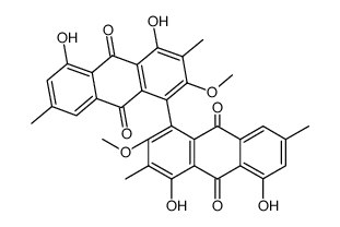 trachypone Structure