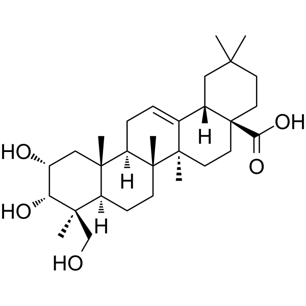 2α,3α,24-三羟基齐墩果烷-12-烯-28-酸图片