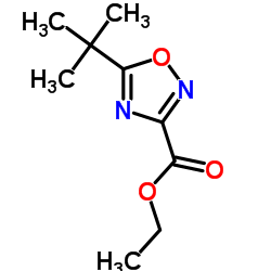 5-叔丁基-1,2,4-噁二唑-3-羧酸乙酯图片