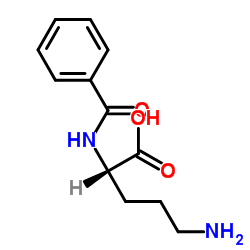 BZ-ORN-OH structure