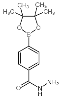 4-(肼羰基)苯基硼酸频哪醇酯结构式