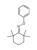 2,2,6,6-tetramethylcyclohexan-1-oneO-phenyl oxime结构式