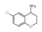 6-氯苯并二氢吡喃-4-胺图片