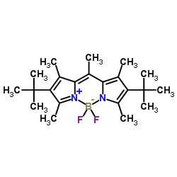 Pyrromethene 597 picture