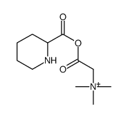 trimethyl-[2-oxo-2-(piperidine-2-carbonyloxy)ethyl]azanium Structure