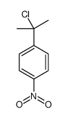 1-(2-chloropropan-2-yl)-4-nitrobenzene Structure