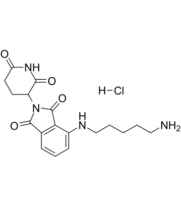 Thalidomide-NH-C5-NH2 hydrochloride Structure