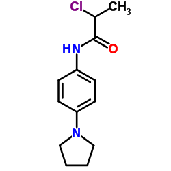 2-Chloro-N-[4-(1-pyrrolidinyl)phenyl]propanamide Structure