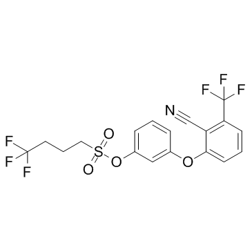 Bay 59-3074 structure