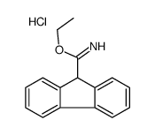 ethyl 9H-fluorene-9-carboximidate,hydrochloride Structure