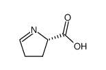 (S)-1-pyrroline-5-carboxylic acid结构式